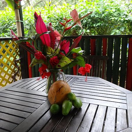 3 Rivers Eco Lodge Rosalie 외부 사진