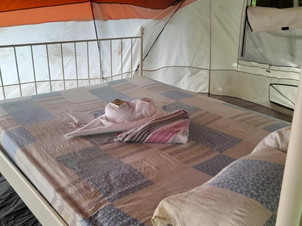 3 Rivers Eco Lodge Rosalie 외부 사진