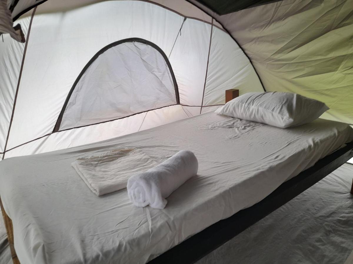 3 Rivers Eco Lodge Rosalie 외부 사진