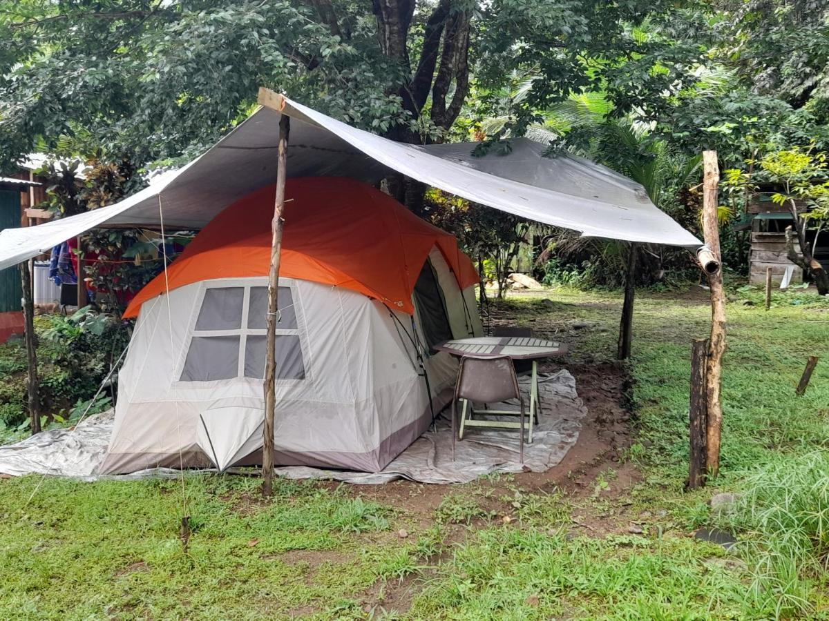 3 Rivers Eco Lodge Rosalie 외부 사진