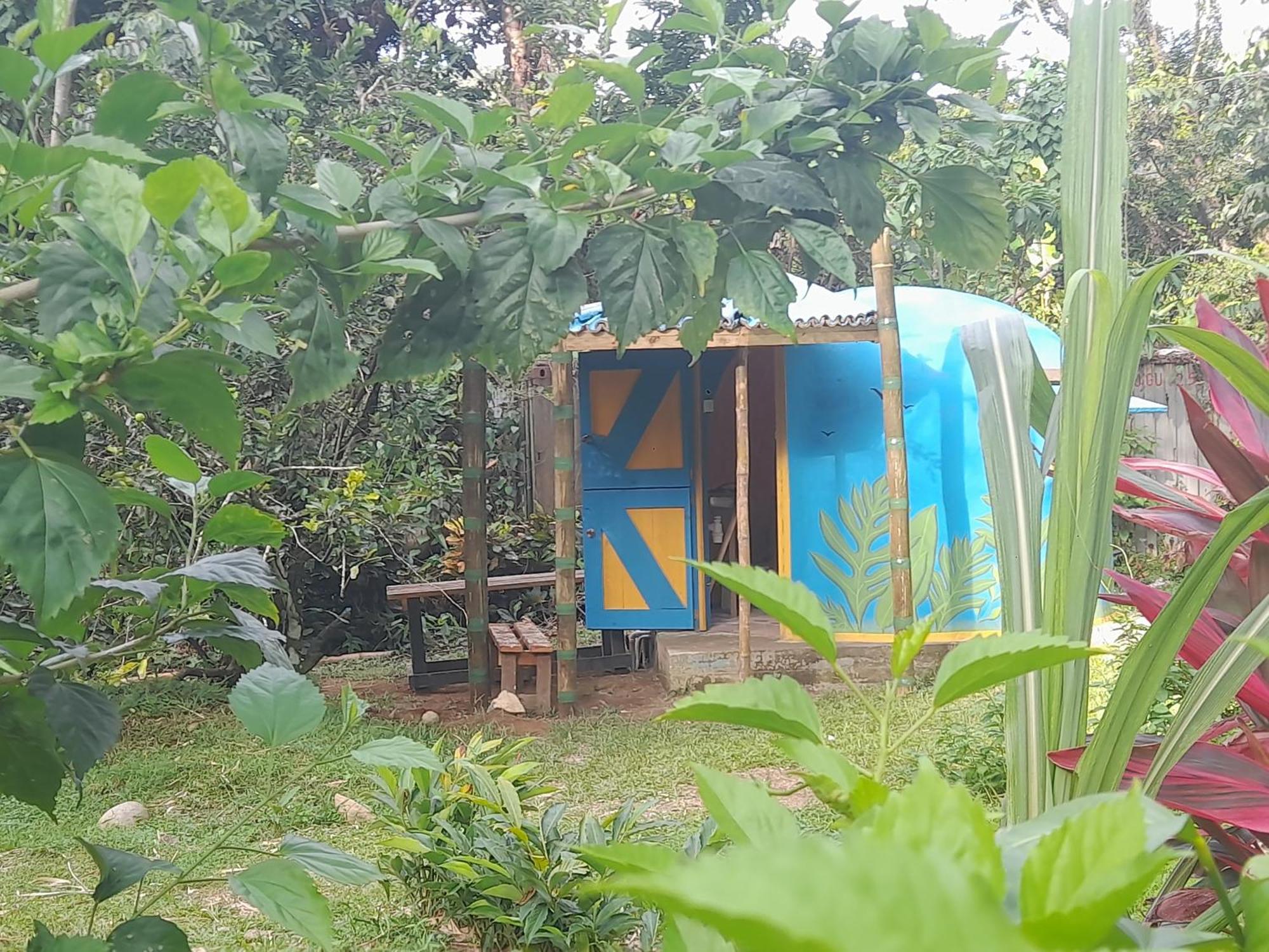 3 Rivers Eco Lodge Rosalie 외부 사진