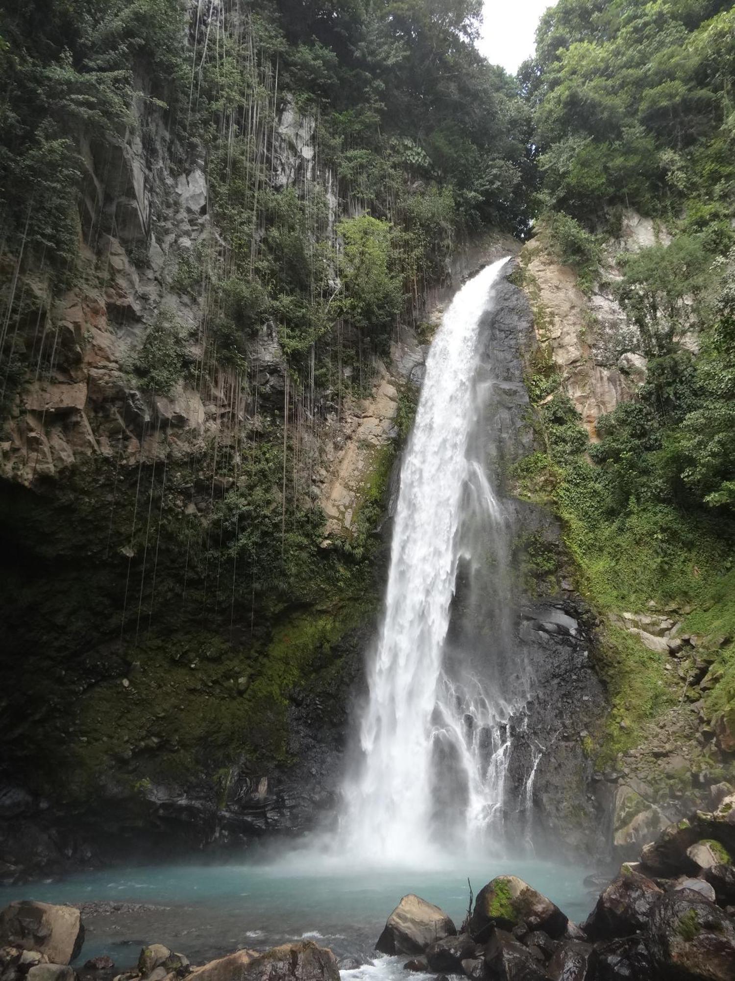 3 Rivers Eco Lodge Rosalie 외부 사진