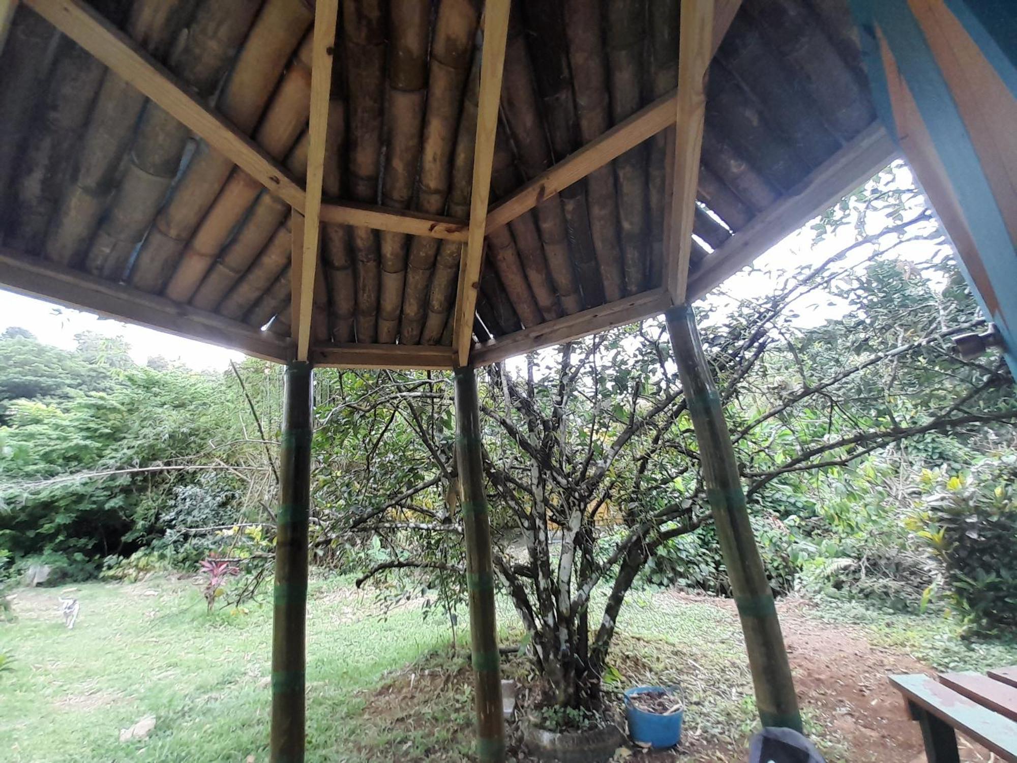 3 Rivers Eco Lodge Rosalie 객실 사진