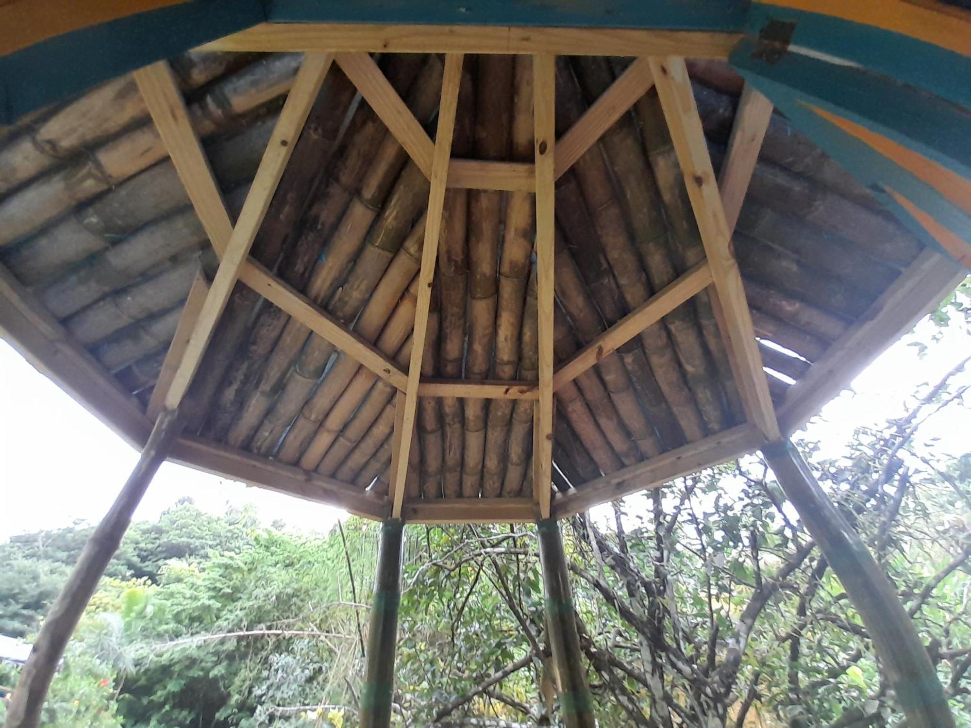 3 Rivers Eco Lodge Rosalie 객실 사진