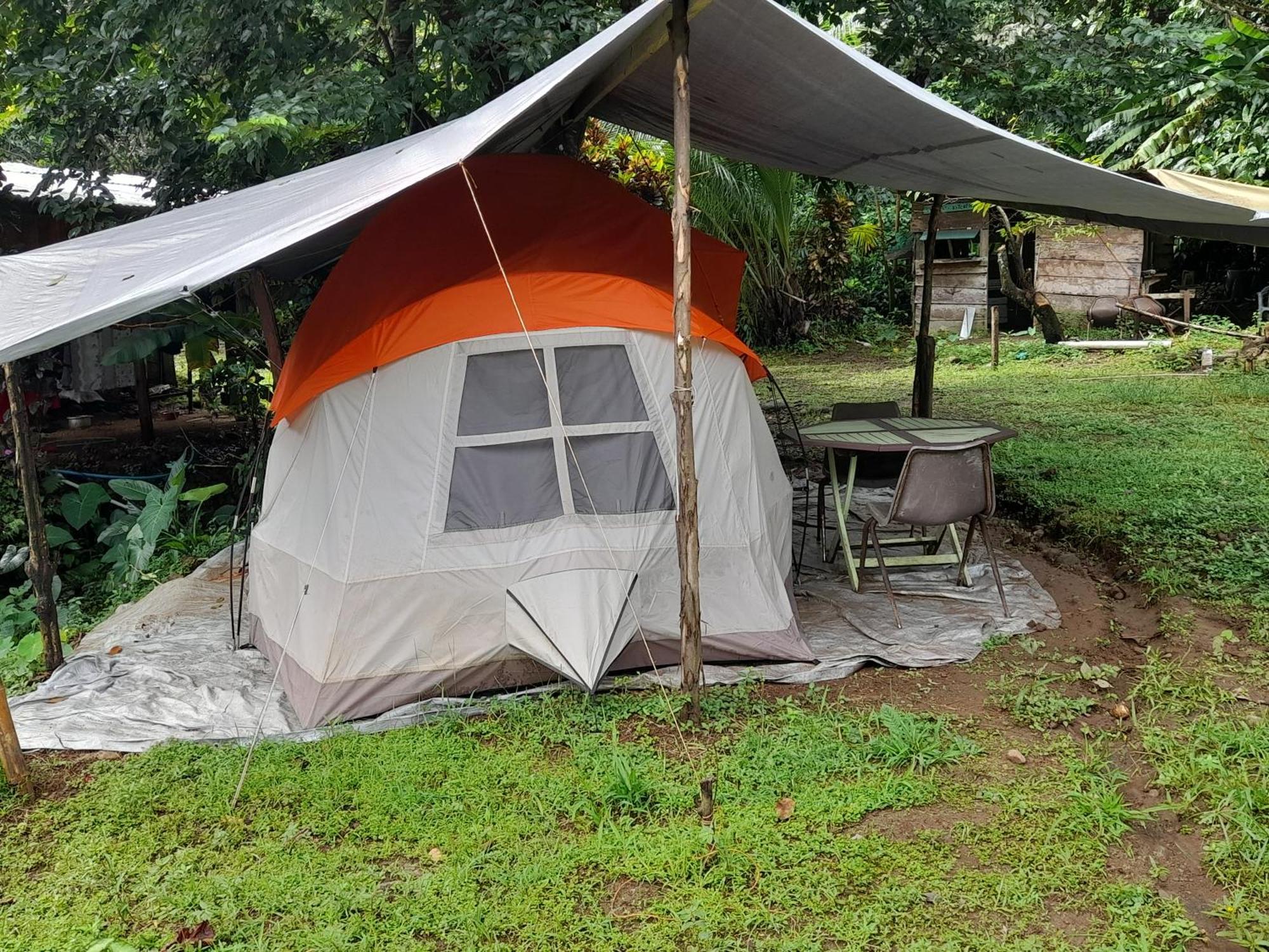 3 Rivers Eco Lodge Rosalie 객실 사진