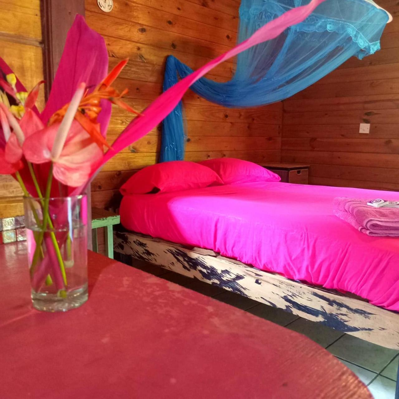 3 Rivers Eco Lodge Rosalie 외부 사진